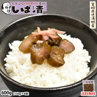 しば漬 漬物 きざみきゅうり漬け 600g（150g×4袋） 送料無料 ポッキリ 宮崎県産 お取り寄せ お取り寄せ…