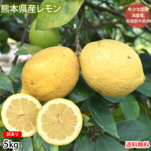  󂠂 Y  5kg F{Y _ h܃bNXsgp  O[ Y