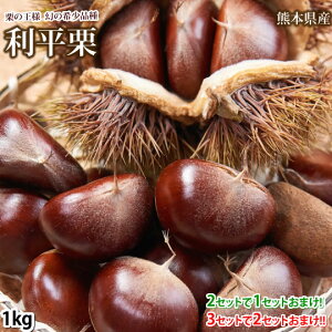 y9/1̓|Cg5{zI I  1kg L`2L N[ 2Zbg1Zbg܂ 3Zbg2Zbg܂ F{Y  񂹃O ̍aI I  N a