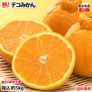 fR| i 󂠂 fR݂ 5kg  (e4kg+⏞500g)  F{Y t[c  ݂ ~J  sm