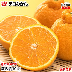 fR| i 󂠂 fR݂ 10kg  (e9kg+⏞500g)  F{Y t[c  ݂ ~J  sm