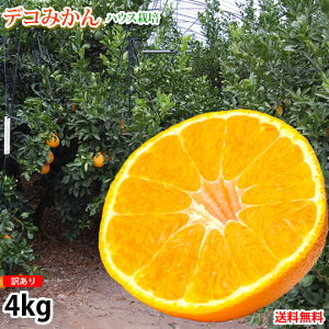 fR| i fR݂ 󂠂  4kg nEX͔| ݂ F{Y sm ~J 