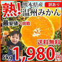 みかん 送料無料 訳あり 温州みかん 5kg 2S〜3L 熊本県産 熊本みかん 蜜柑 ミカン