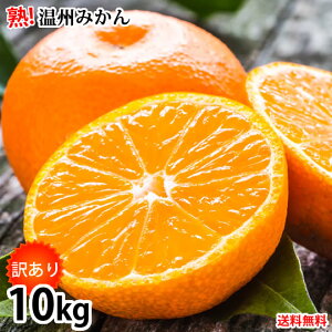 みかん10kgの通販 価格比較 価格 Com