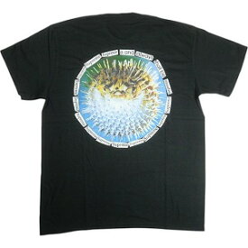 SUPREME シュプリーム 23SS Blowfish Tee Black Tシャツ 黒 Size 【XL】 【新古品・未使用品】 20818152