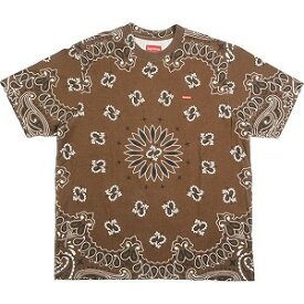 SUPREME シュプリーム 21SS Small Box Tee Brown Bandana Tシャツ 茶 Size 【S】 【新古品・未使用品】 20791365