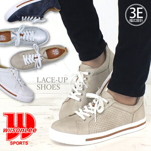 [XAbvXj[J[ [JbgXj[J[ JWAV[Y tbg p`O 3E L݌v O΍ C\[ ɂȂ Ȑ K y h\[ Ȃ 