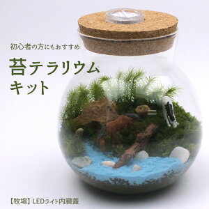 テラリウム ライトの人気商品 通販 価格比較 価格 Com