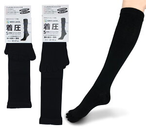 fIbN LC am5{wnC\bNX ubN Y am C rWlX s o LȂ L L UL {@ L@ L  ϋv 25-27cm 28cm-3