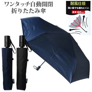 P ܂肽ݎP J Y am ܂ݎP 60cm n 傫 傫 OXt@Co[ v ϕdl RpNg ֗   rWlX ʋ ʊw ܂肽 ^b`