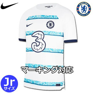 `FV[ jtH[ AEFC 22/23 2022 2023  LbY WjA NIKE iCL Ki