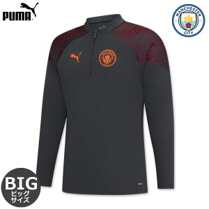 yʌzv[} }`FX^[VeB rbOTCY g[jOgbv hgbv 1/4Wbv K 23/24 2023 2024  PUMA Ap Ki