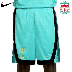 ov[ u WF[Y DNA oXPbg{[V[c pc @v[ jtH[ 23/24 2023 2024 NIKE iCL Ki