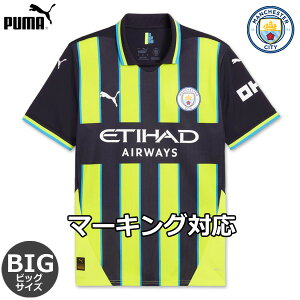 y}V 7ԑΉzyʌzv[} }`FX^[VeB rbOTCY jtH[ AEFC 24/25 2024 2025  PUMA Ki