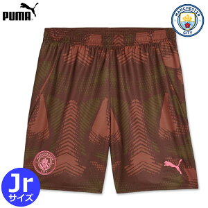 yʌzv[} }`FX^[VeB jtH[ S[L[p[ GK pc V[c LbY WjA 24/25 2024 2025 PUMA Ki