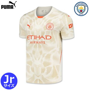 yʌzv[} }`FX^[VeB S[L[p[ jtH[ GK 24/25 2024 2025  LbY WjA PUMA Ki TbJ[