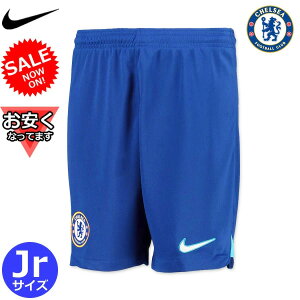 y170TCYz`FV[ pc V[c z[ 22/23 WjA LbY NIKE iCL Ki Ήi