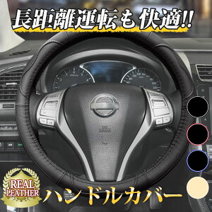 nhJo[ {v  XeAOJo[ { U[ Obv ʎ y