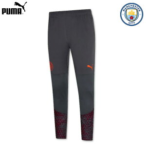 yʌzv[} }`FX^[VeB }C gbNpc g[jOpc K jtH[ W[W[ 23/24 2023 2024 puma Ap Ki