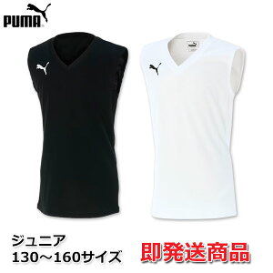 v[} ^Ngbv LbY SL TbJ[ {[CY WjA Ci[Vc VlbN puma 655278