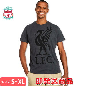 ov[ TVc @v[ Liverbird Tee ItBV ObY Ήi