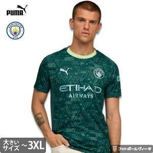 �v�[�} �}���`�F�X�^�[�V�e�B �r�b�O�T�C�Y ���j�t�H�[�� EA�X�|�[�cFC EA SPORTS FC 4th �t�H�[�X 25/26 2025 2026 ���� PUMA ���K�i