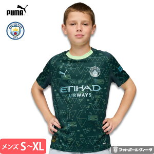 v[} }`FX^[VeB jtH[ EAX|[c fc EA SPORTS FC 4th tH[X 25/26 2025 2026  LbY WjA PUMA Ki NX}X v[g NX}Xv[g