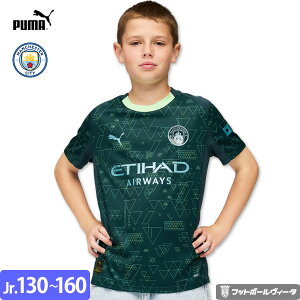 v[} }`FX^[VeB jtH[ EAX|[c fc EA SPORTS FC 4th tH[X 25/26 2025 2026  LbY WjA PUMA Ki NX}X v[g NX}Xv[g