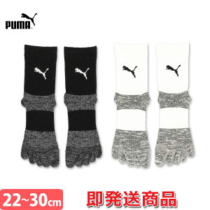 v[} Obv\bNX 5{w\bNX Obv C XgbLO 658035 PUMA Ήi