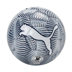 �v�[�} FINAL �O���t�B�b�N�{�[�� HS �T�b�J�[�{�[�� 5���� 4���� 3���� puma 085213-02