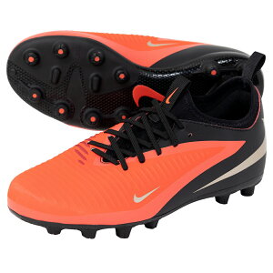 �i�C�L JR �t�@���g�� 6 LOW �A�J�f�~�[ HG �W���j�A�p �T�b�J�[�X�p�C�N NIKE HQ2046-600