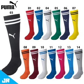 プーマ 2本ライン入り ストッキング ジュニア 子供用 サッカーソックス 靴下 puma 729882