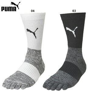 v[} Obv\bNX 5{w TbJ[ V[g\bNX C puma 658035