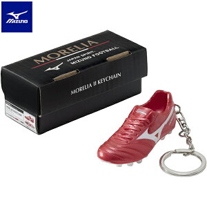 ~Ym AII L[`F[ TbJ[ ANZT[ L[z_[ mizuno P1GZ2070