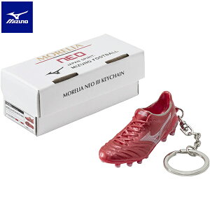 ~Ym AlIIII L[`F[ TbJ[ ANZT[ L[z_[ mizuno P1GZ2080