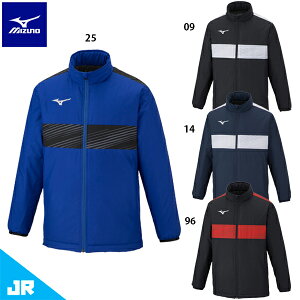 ~Ym EH[}[Vc WjA qp TbJ[ EBhu[J[ W[W mizuno P2ME2690