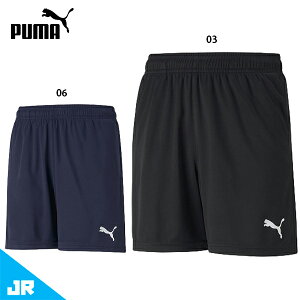 v[} TEAMRISE g[jOV[c JR WjAp TbJ[ g[jOpc n[tpc puma 657653