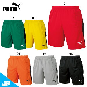 v[} LIGA WjA GKpc pbht WjAp TbJ[ L[p[pc n[tpc puma 729968