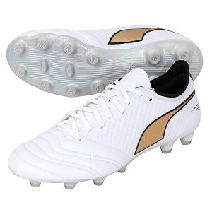 v[} LO ~C AeBbg KB HG/AG lp TbJ[XpCN puma 107577-01