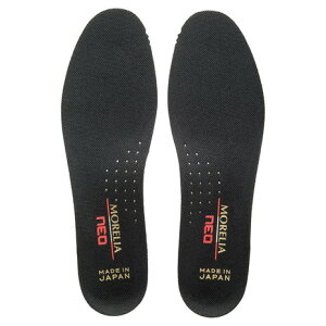 ~Ym A lI C\[ (TbJ[p) MIZUNO P1GZ2010-09