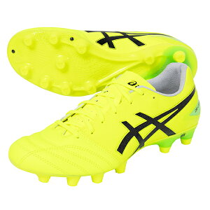 AVbNX DS LIGHT PRO lp TbJ[XpCN asics 1103A095-750