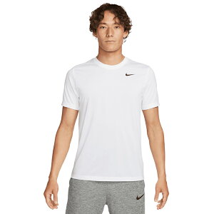iCL Dri-FIT RLGD Zbg S/S TVc lp g[jOVc  NIKE DX0990-100