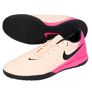 iCL t@g GX 2 AJf~[ IC lp tbgTV[Y NIKE FJ2581-800
