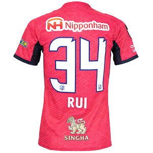 yXs[hoׁz~Ym 2025 Zb\ #34 唗 1stvJjtH[ lp TbJ[ vJVc mizuno P2JACY5041