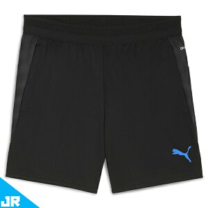 v[} individualCUP g[jOV[c 2 JR WjAp TbJ[ vNeBXpc puma 660498-07