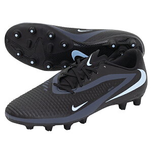 iCL t@g 6 LOW AJf~[ HG lp TbJ[XpCN NIKE HQ2318-003