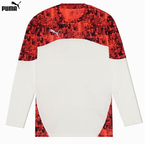 v[} INDIVIFTBL PRO LS Vc lp TbJ[  vNeBXVc puma 660375-04