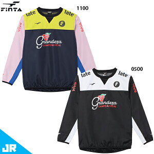 tB^ JR GDZsXegbv WjAp TbJ[ tbgT g[jOEFA FINTA FT4554