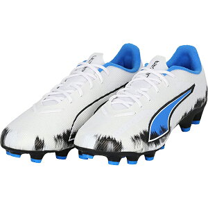 v[} Eg 6 v HG/AG JAPAN LIMITED lp TbJ[XpCN puma 109066-01