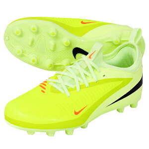 iCL JR t@g 6 LOW AJf~[ HG WjAp TbJ[XpCN NIKE HQ2046-800